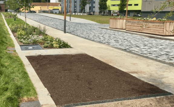 Photo of neat dirt on a pathway